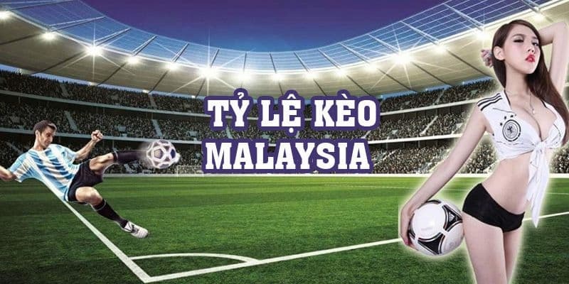 Phân tích dữ liệu bóng đá để dự đoán kèo Malay chuẩn xác
