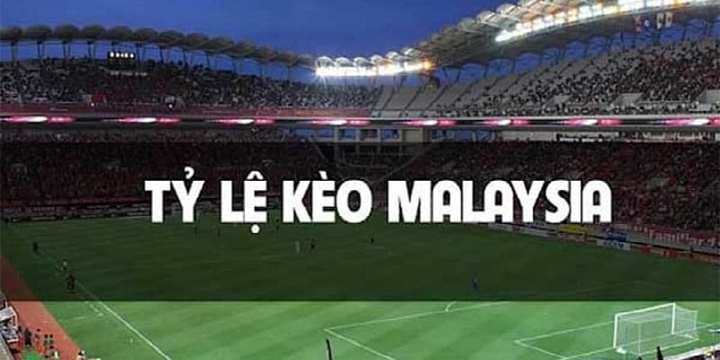 Tỷ lệ kèo Malaysia: Cách tính tiền kèo và đặt cược hiệu quả